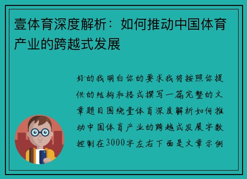 壹体育深度解析：如何推动中国体育产业的跨越式发展
