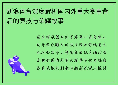 新浪体育深度解析国内外重大赛事背后的竞技与荣耀故事